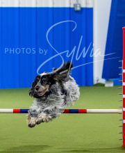 2025-7-11-July-Trial-53