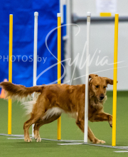 2025-7-12-July-Trial-10-2