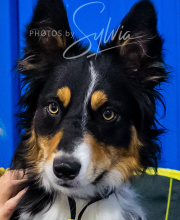 2025-7-12-July-Trial-10