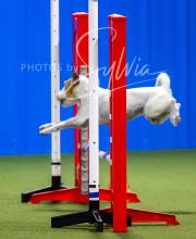 2025-7-12-July-Trial-100