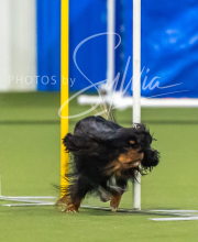 2025-7-12-July-Trial-1000