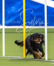 2025-7-12-July-Trial-1002