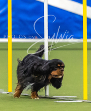 2025-7-12-July-Trial-1003