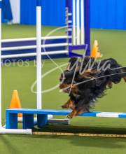 2025-7-12-July-Trial-1007