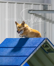 2025-7-12-July-Trial-1010