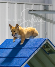 2025-7-12-July-Trial-1011