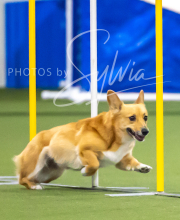 2025-7-12-July-Trial-1016