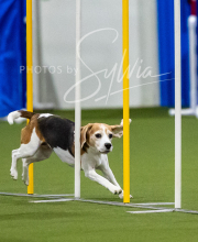 2025-7-12-July-Trial-103