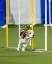 2025-7-12-July-Trial-104