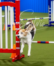 2025-7-12-July-Trial-107