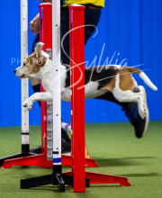 2025-7-12-July-Trial-108