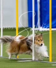 2025-7-12-July-Trial-112