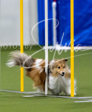 2025-7-12-July-Trial-113