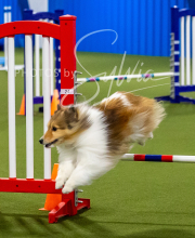 2025-7-12-July-Trial-118