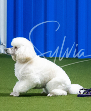 2025-7-12-July-Trial-120