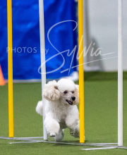 2025-7-12-July-Trial-121