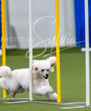 2025-7-12-July-Trial-122