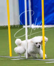 2025-7-12-July-Trial-126