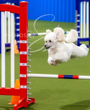 2025-7-12-July-Trial-131