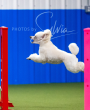 2025-7-12-July-Trial-134