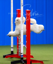 2025-7-12-July-Trial-136