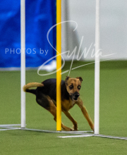 2025-7-12-July-Trial-138