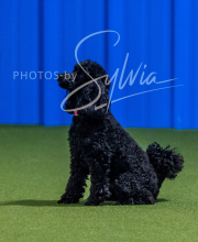 2025-7-12-July-Trial-144