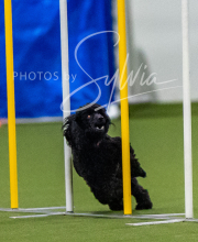 2025-7-12-July-Trial-146