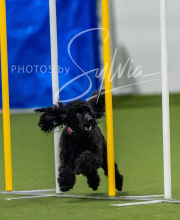 2025-7-12-July-Trial-147