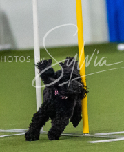 2025-7-12-July-Trial-150