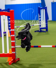 2025-7-12-July-Trial-158