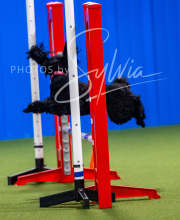 2025-7-12-July-Trial-162