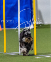 2025-7-12-July-Trial-164