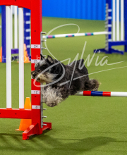 2025-7-12-July-Trial-174