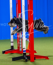 2025-7-12-July-Trial-177