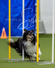 2025-7-12-July-Trial-178