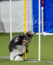 2025-7-12-July-Trial-181