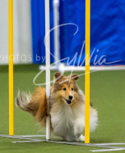 2025-7-12-July-Trial-196