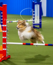 2025-7-12-July-Trial-198