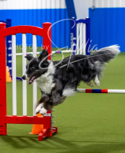 2025-7-12-July-Trial-20