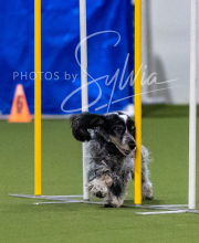 2025-7-12-July-Trial-204