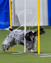 2025-7-12-July-Trial-206