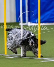 2025-7-12-July-Trial-210