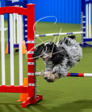 2025-7-12-July-Trial-212