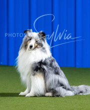 2025-7-12-July-Trial-218