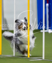 2025-7-12-July-Trial-222