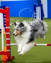 2025-7-12-July-Trial-228