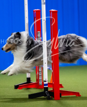 2025-7-12-July-Trial-229