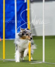 2025-7-12-July-Trial-231