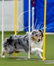 2025-7-12-July-Trial-236